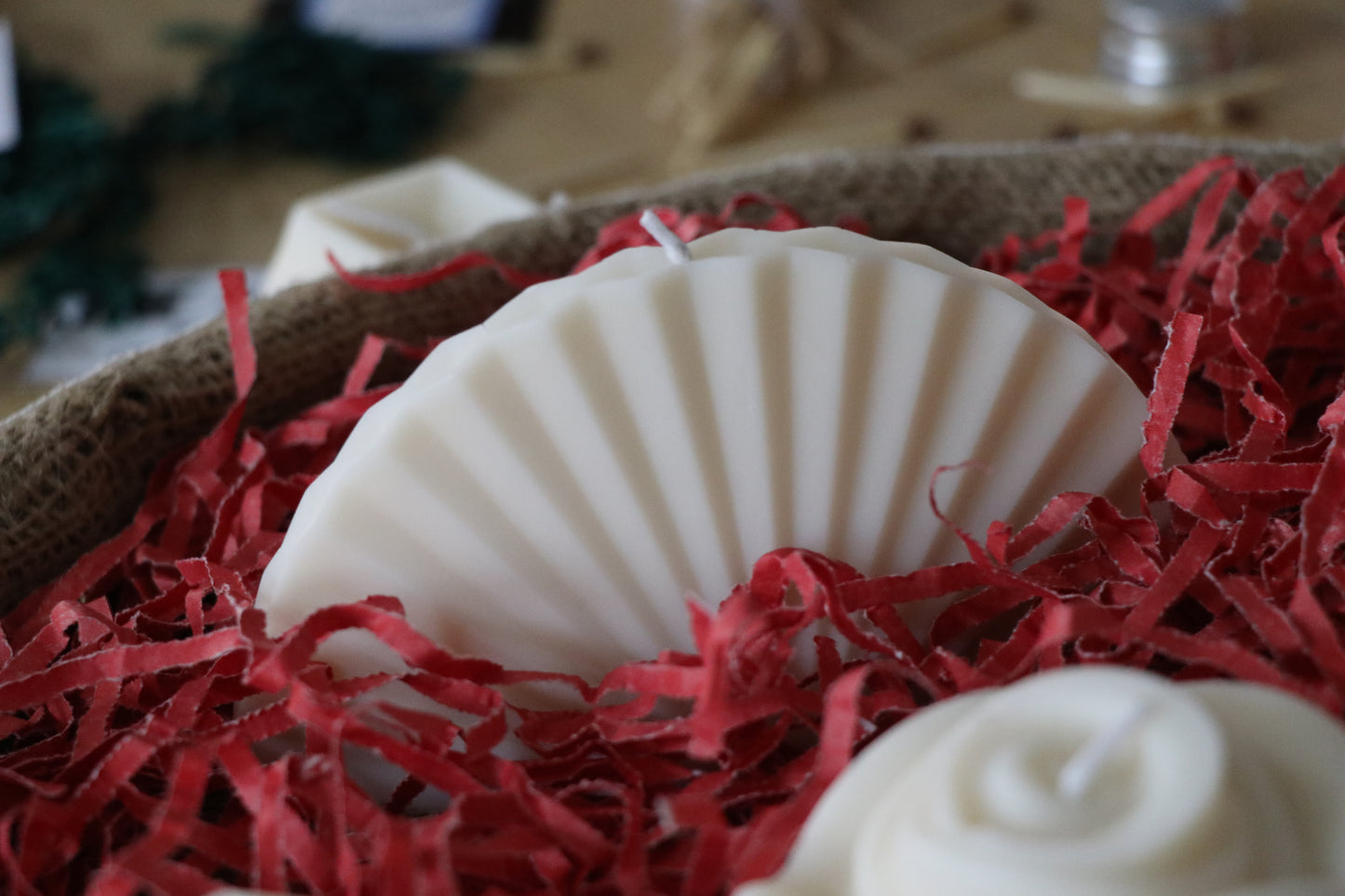 Sea Shell Candles